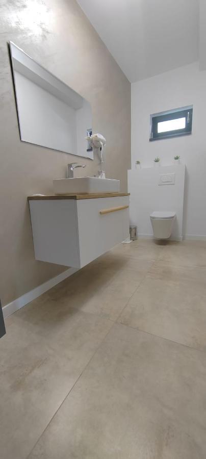 Casira Guesthouse Sînmartin エクステリア 写真